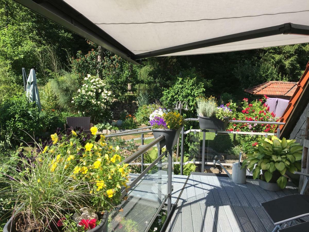 Ferienwohnung Wildenreuth Weidenberg エクステリア 写真